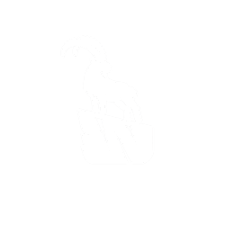 Aries Health and Wellness